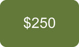 Second Time Around Watch Company Gift Card