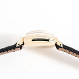 elgin shockmaster ww, case shot