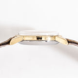 vintage omega seamaster automatic ww with patina, side view with case